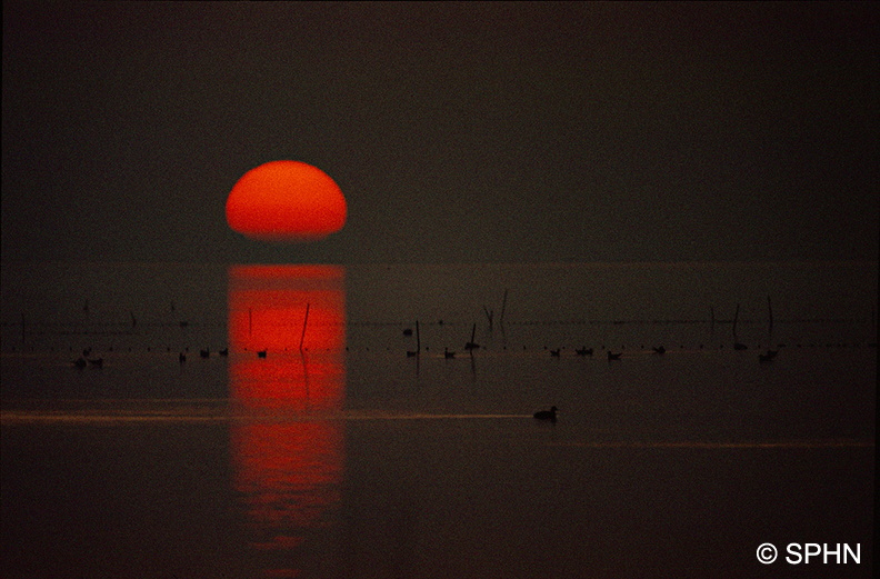 pays-vaccares-coucher-de-soleil-OSchlumberger.jpg