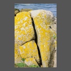 geol-granit-armoricain-MFuric